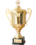 Витэн - Обладатель Кубка Беларуси: 2009, 2010, 2018